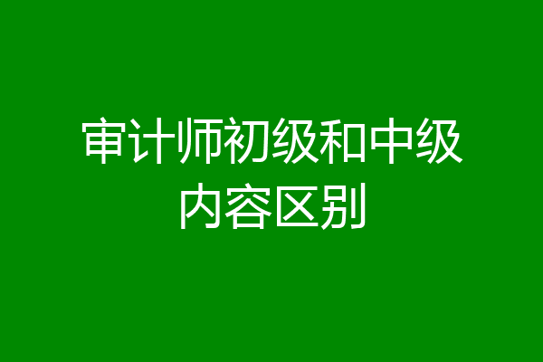审计师初级和中级内容区别