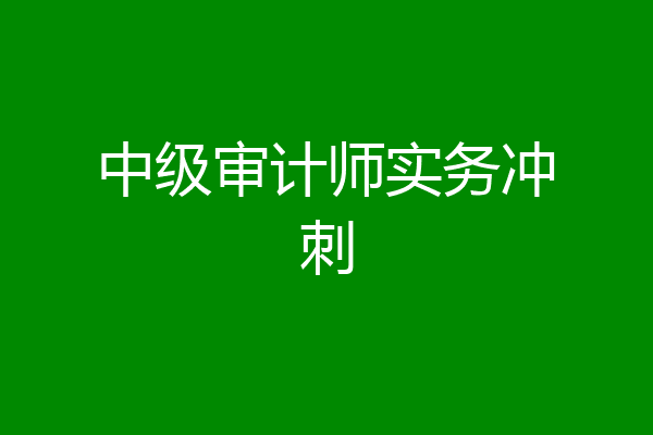 中级审计师实务冲刺