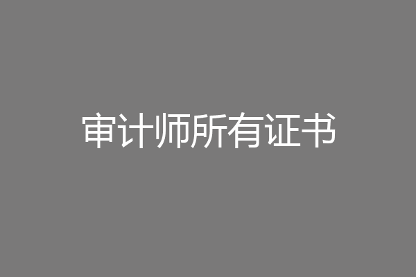 审计师所有证书