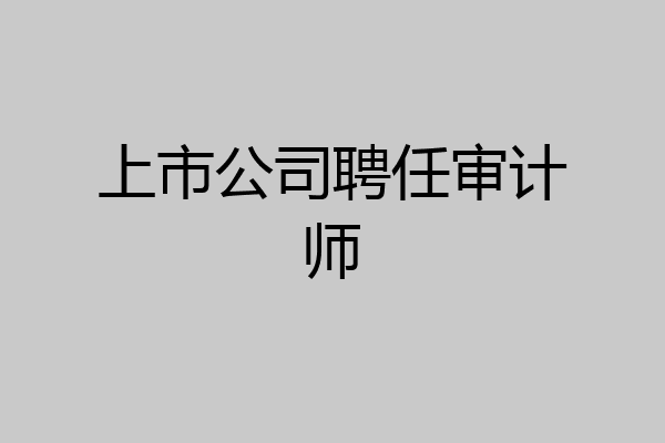 上市公司聘任审计师