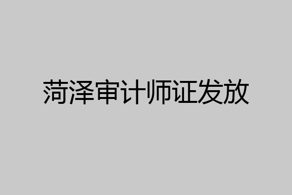 菏泽审计师证发放
