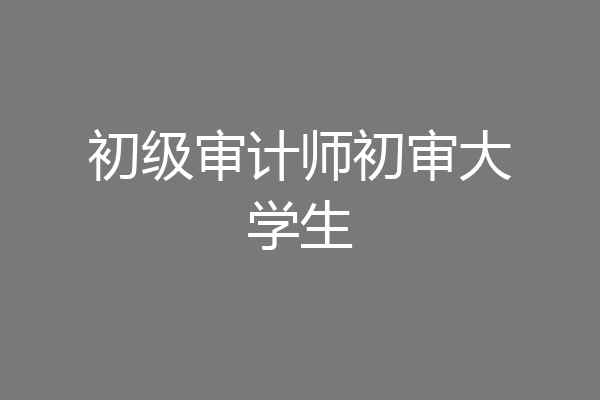 初级审计师初审大学生