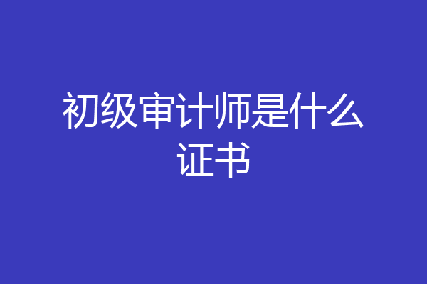 初级审计师是什么证书