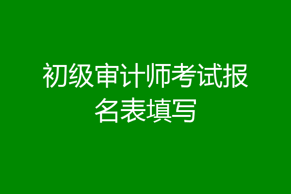 初级审计师考试报名表填写