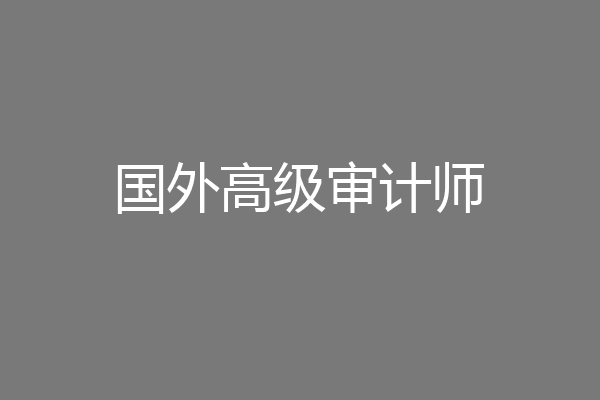 国外高级审计师