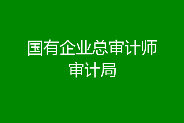 国有企业总审计师审计局