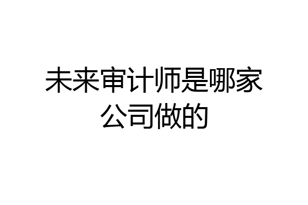 未来审计师是哪家公司做的