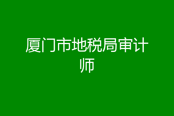 厦门市地税局审计师