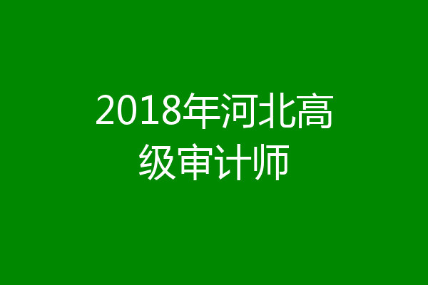 2018年河北高级审计师