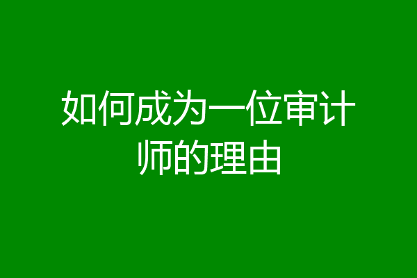 如何成为一位审计师的理由