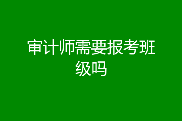 审计师需要报考班级吗