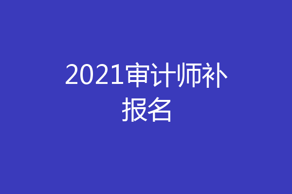 2021审计师补报名