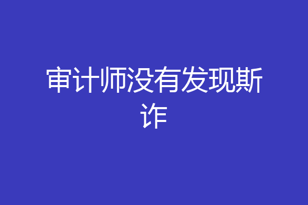 审计师没有发现斯诈