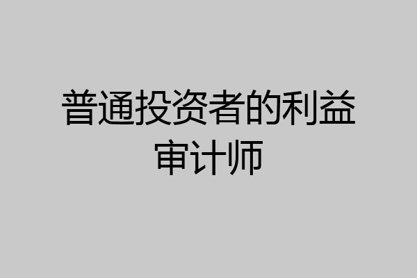 普通投资者的利益审计师