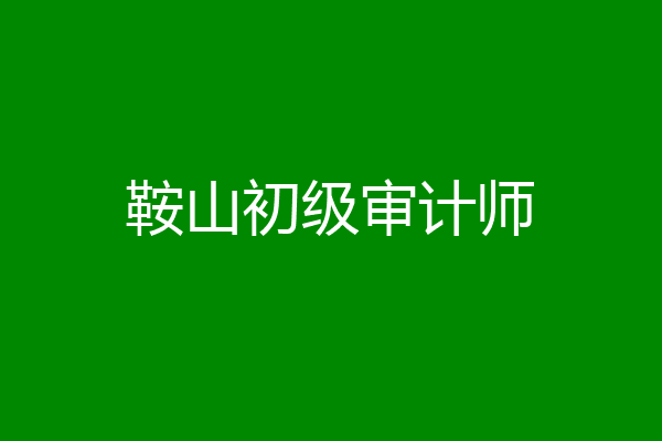 鞍山初级审计师
