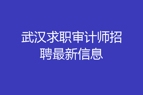 武汉求职审计师招聘最新信息