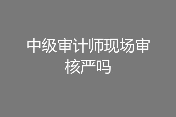 中级审计师现场审核严吗