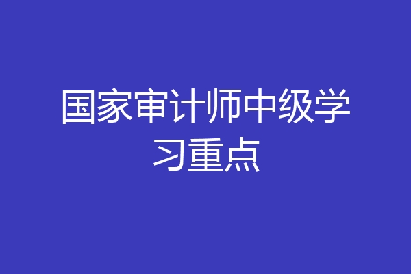 国家审计师中级学习重点