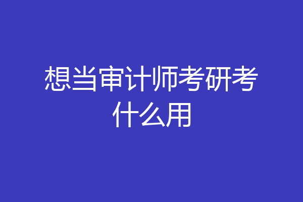 想当审计师考研考什么用