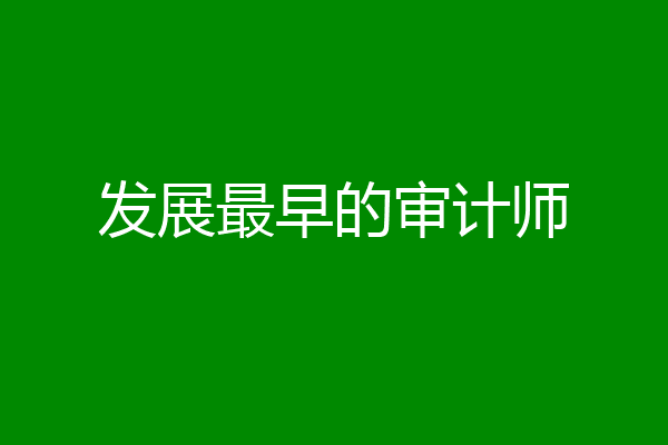 发展最早的审计师