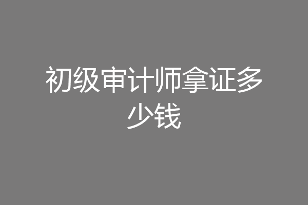 初级审计师拿证多少钱