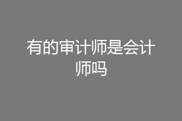 有的审计师是会计师吗