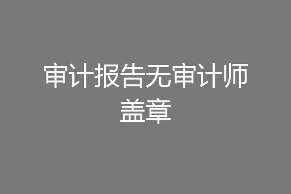 审计报告无审计师盖章