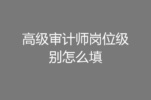 高级审计师岗位级别怎么填