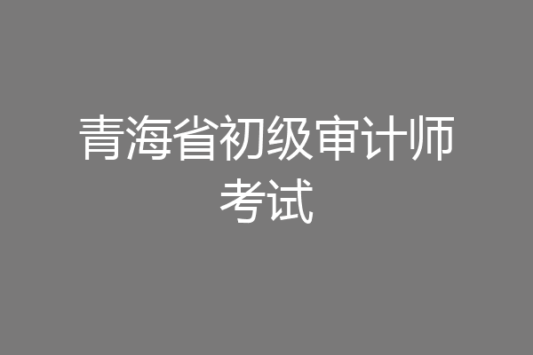 青海省初级审计师考试