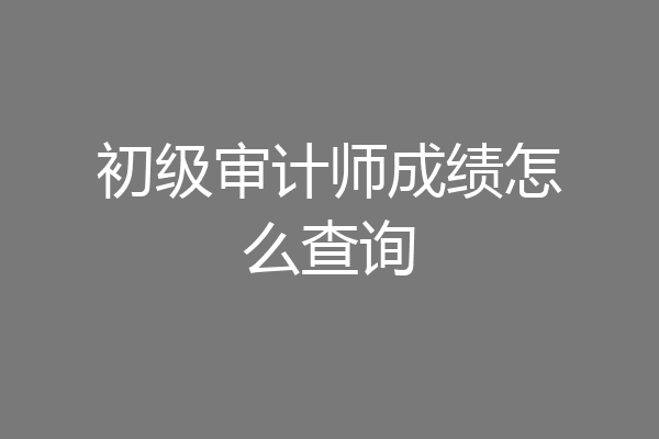 初级审计师成绩怎么查询