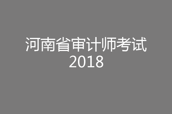 河南省审计师考试2018