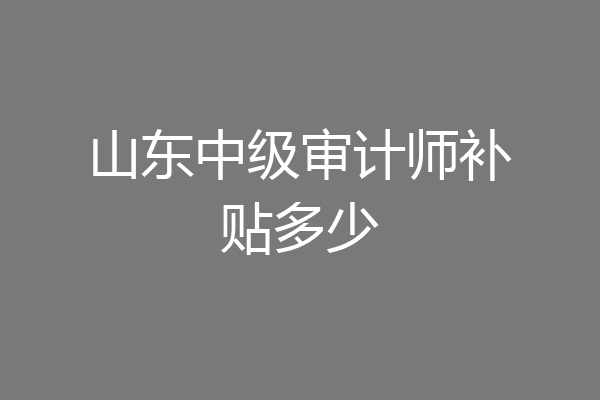 山东中级审计师补贴多少