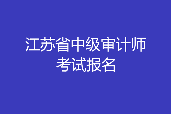 江苏省中级审计师考试报名