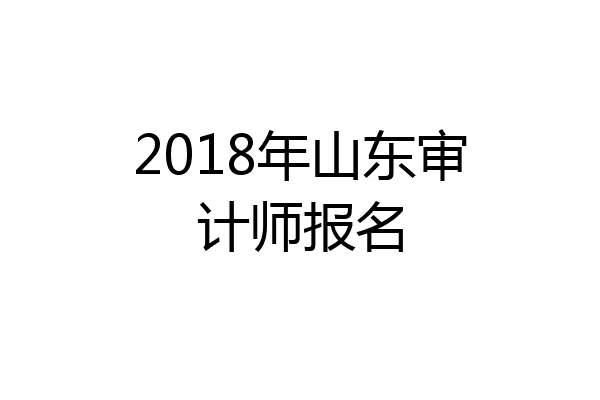 2018年山东审计师报名