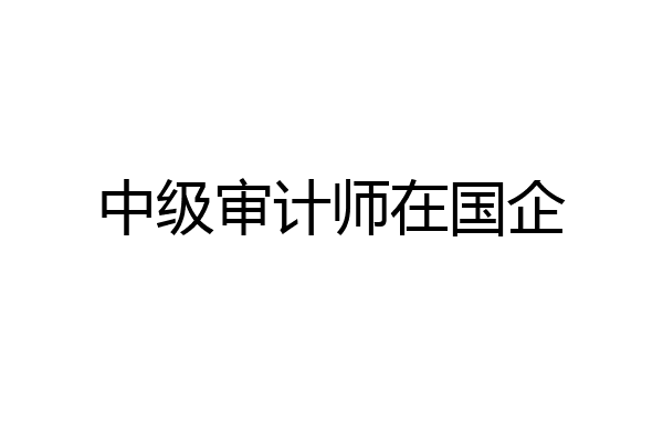中级审计师在国企