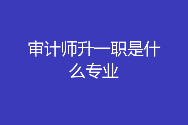 审计师升一职是什么专业