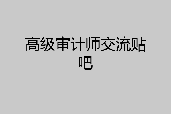高级审计师交流贴吧