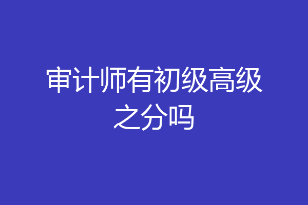 审计师有初级高级之分吗