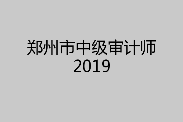 郑州市中级审计师2019