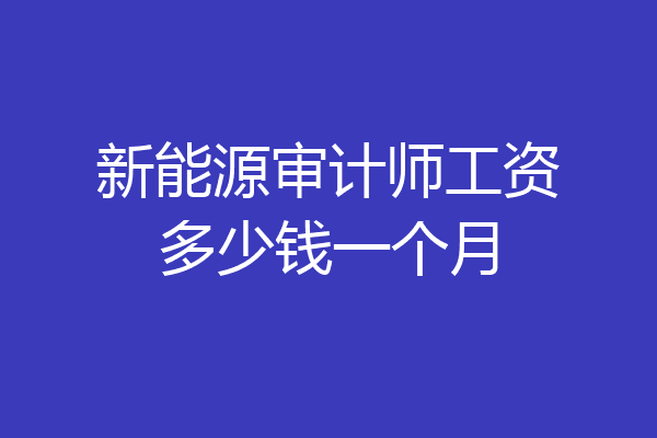 新能源审计师工资多少钱一个月