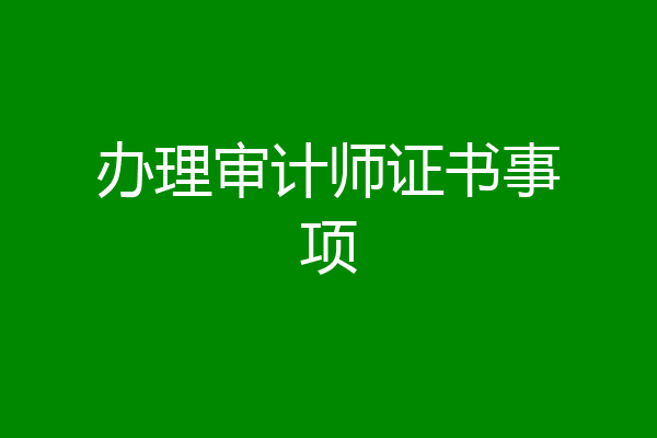 办理审计师证书事项
