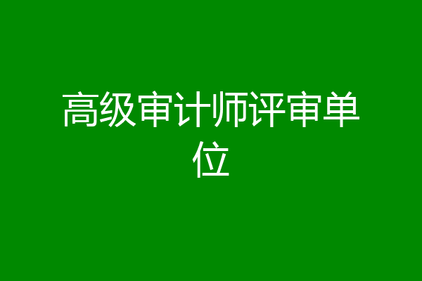 高级审计师评审单位