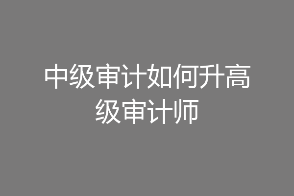 中级审计如何升高级审计师