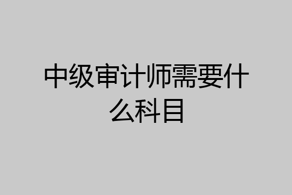 中级审计师需要什么科目