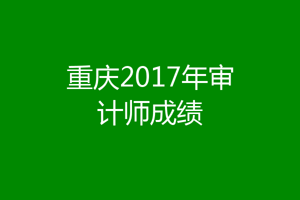 重庆2017年审计师成绩
