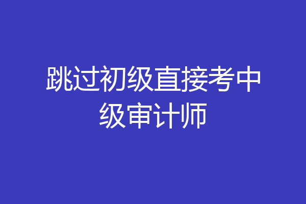 跳过初级直接考中级审计师
