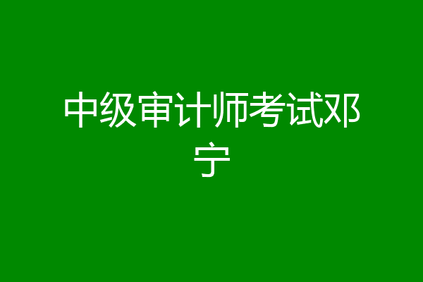 中级审计师考试邓宁