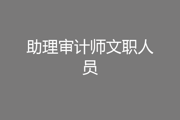 助理审计师文职人员