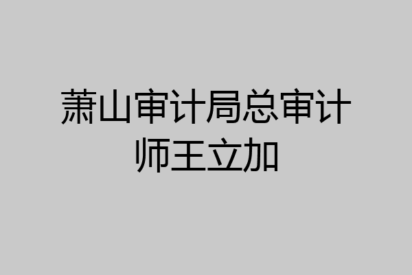 萧山审计局总审计师王立加
