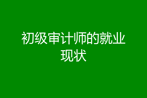 初级审计师的就业现状